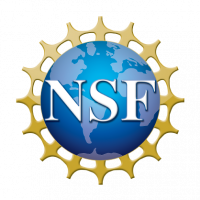 NSF Logo Small-01